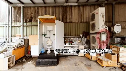 勁揚運動館